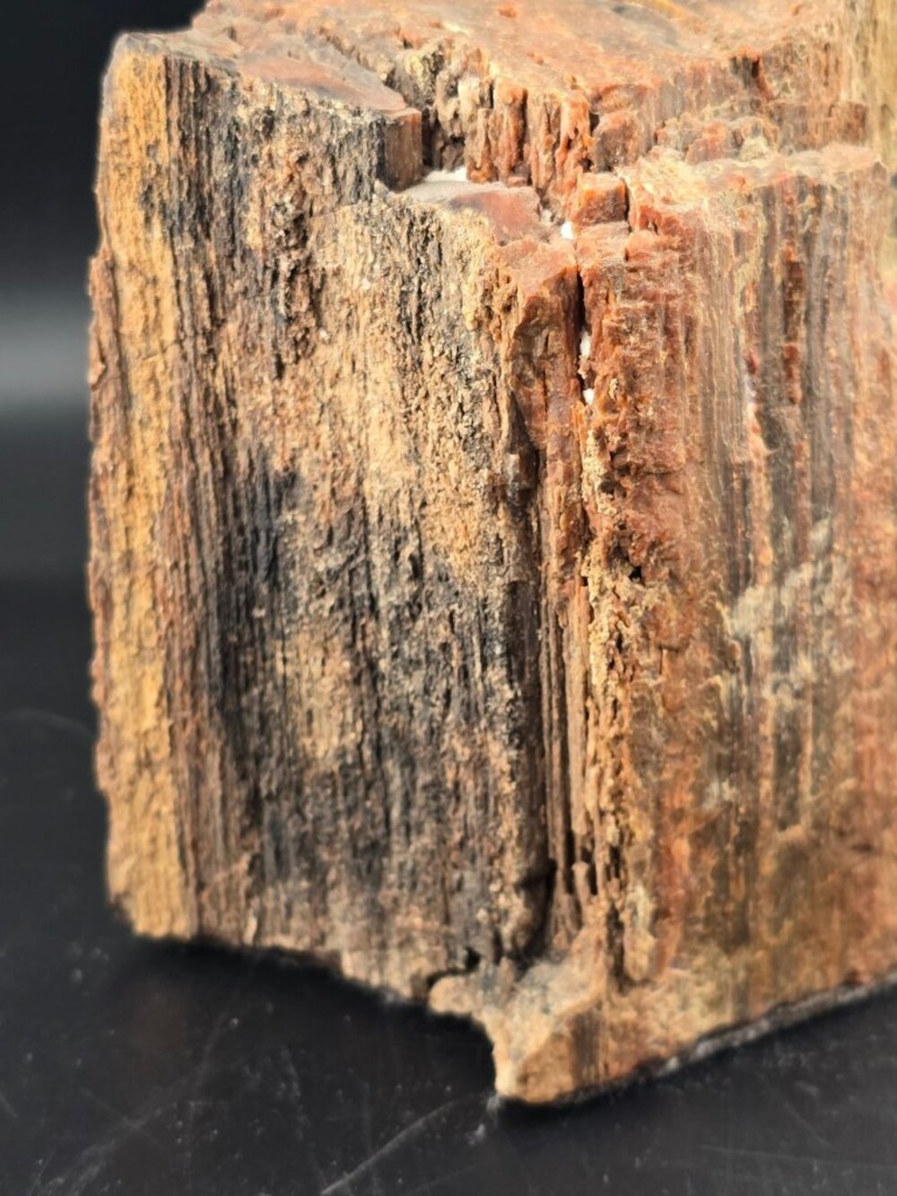 Petrified Wood Fossil Specimen With Rich Red & Black Hues, Polished/Raw -2.1 lbs - Picture 5 of 16